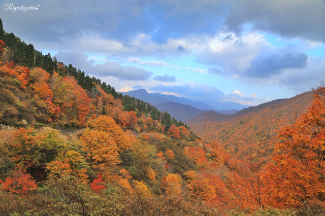 紅葉追っかけドライブ 11月7 8日編 ー冠山峠 高倉峠ー 西へ東へ 南へ北へ 素敵な出会いを求めて