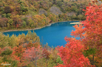20191102〜04   三連休紅葉旅③-３  四万温泉・万沢林道・野反湖編