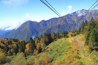 GO TO飛騨高山　　紅葉追っかけドライブ　ー10月10・11日編②ー