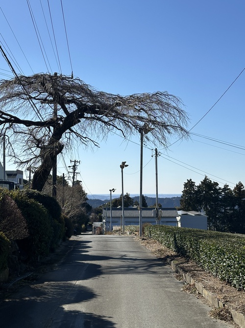 今年もよろしくお願い致します