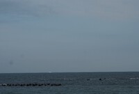 価格が上がる前にいかがですか？＋お洒落なカラー合わせ（SALEです） 2024/08/03 14:28:10