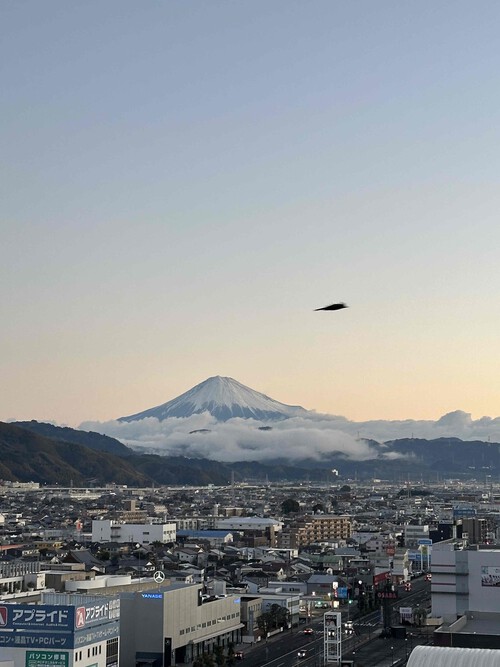 今年もよろしくお願い致します