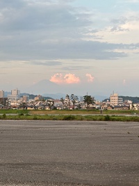 ENFŐLDの洗える定番素材のストラップトラウザー、サイズ36を特別セール 2024/08/12 15:22:09