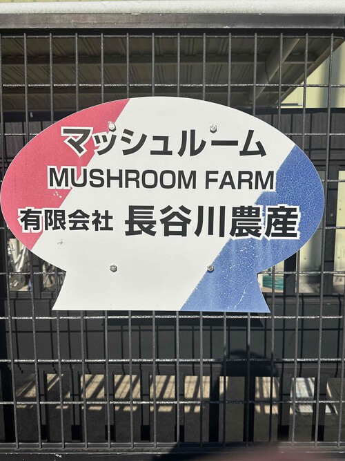 国内当店のみ、やっぱり素敵です！どんなボトムスに合わせても決まってしまうMAKRISの新作