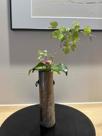 特別閉店シリーズ（３）　SARTI サンプルセール 2025/04/17 17:38:15