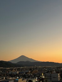 涼しくなったらカーディガンが活躍致します 2024/10/21 15:45:13