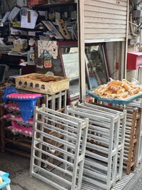 冬に大活躍のTreBarraBiの定番Ecruパンツ 2024/12/21 16:39:48
