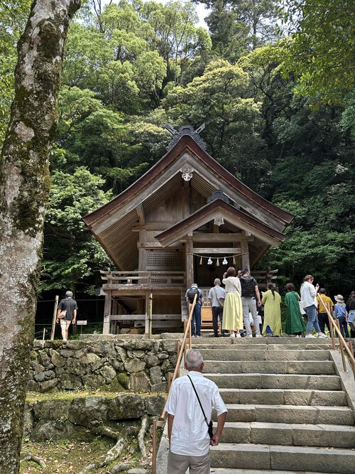 全て今シーズンの春夏物です