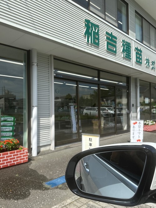 TreBarraBiの涼しいフレアースカート