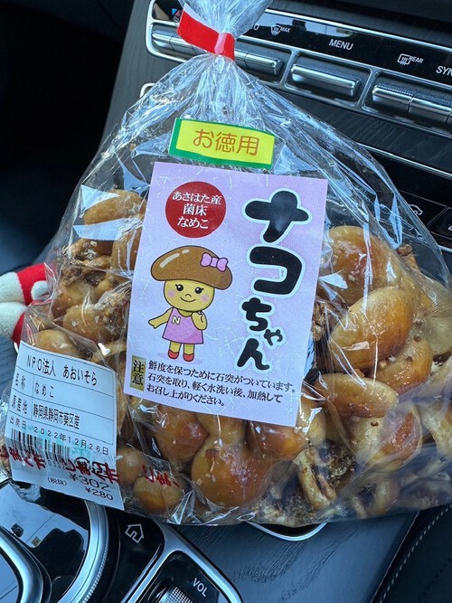 ご旅行には暖かでリラックスして使えるBearfoot Dreamsでお出かけください