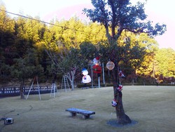 クリスマスの準備