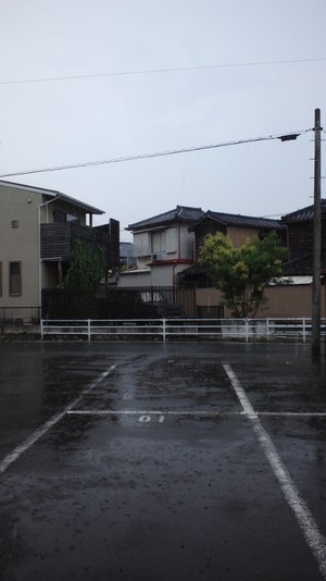 ようやく夏到来!?