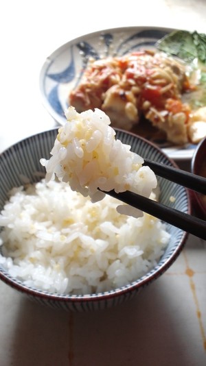 きびごはん