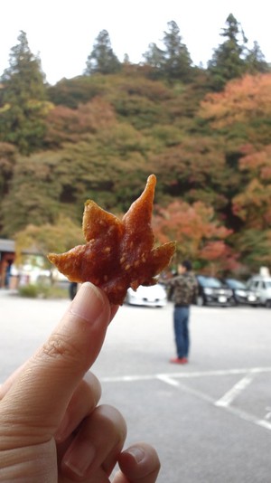 紅葉の衣揚げ!?