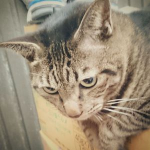 逃げない2人