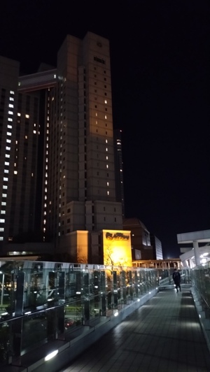 出張中です。