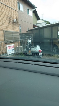 めっちゃにらんでる!!!