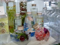クラフトハートトーカイ浜松幸店講習会