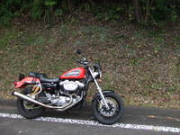 今更 2021/10/12 21:34:24