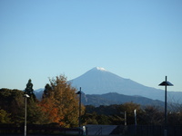 ど寒い朝 2021/11/29 21:12:56