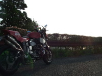 サスと点火と 2023/08/23 21:55:03