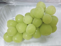 食の秋 2024/09/26 17:42:28