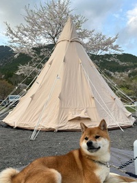 キャンプを始めて2年半 2024/05/22 18:45:16