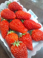 いただきもの♪