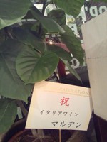 ありがとうございます！♪
