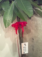 ありがとうございます！♪