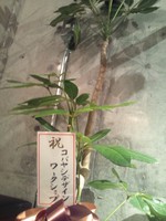 ありがとうございます！♪