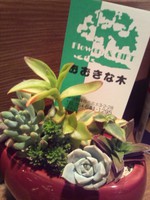 ありがとうございます！♪