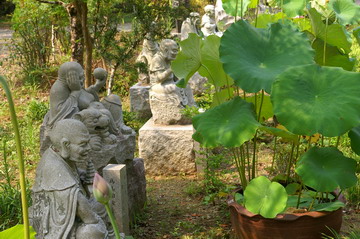 羅漢さん　慈廣寺