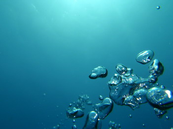 海の様子　雲見海水浴場