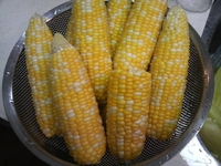 届きました♪ 2011/06/18 21:55:36