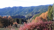 以外に綺麗だったゎ