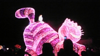 夜のTDL！