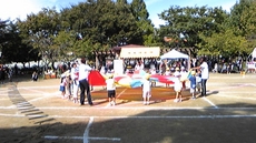 今日は運動会