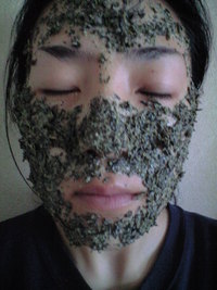 美白のお茶パック