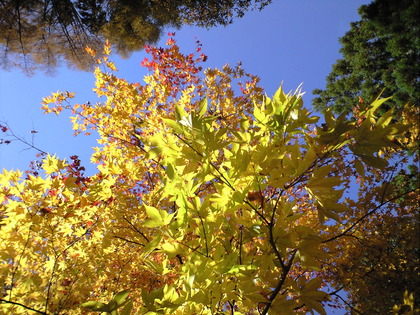 １０月１８日
