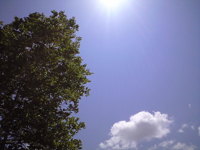 6月23日