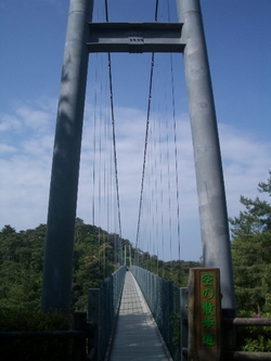 朝のお散歩