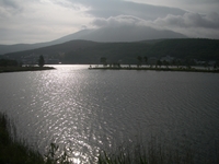 朝の白樺湖