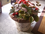 クリスマス