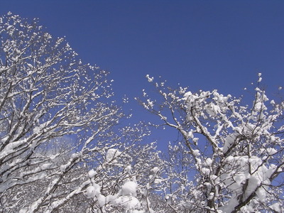 １月１８日