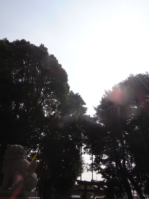 日々、日々。