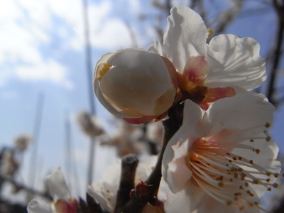 ２月２４日