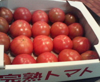 似合わないけど花（＾。＾）