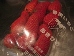 あっという間に１年です♪