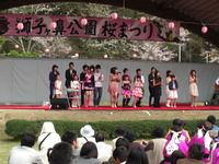 獅子ヶ鼻公園桜祭り♪
